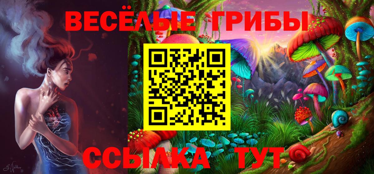 Псилоцибиновые грибы Psilocybine cubensis Снежинск