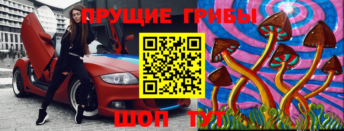 купить наркотик  Вход с VPN  Псилоцибиновые грибы GOLDEN TEACHER  Снежинск  Галлюциногенные грибы Psilocybe 